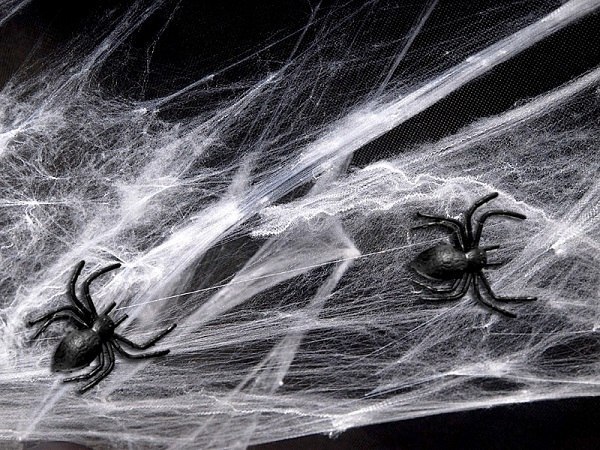Sztuczna pajęczyna sieć na Halloween + 2 pająki Sztuczna pajęczyna sieć na Halloween + 2 pająki