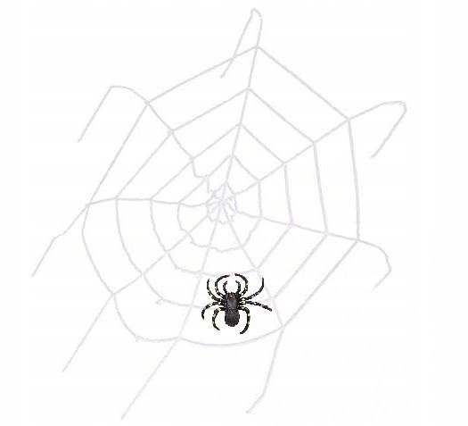 Wielka pajęczyna sieć pająka na Halloween + pająk Wielka pajęczyna sieć pająka na Halloween + pająk