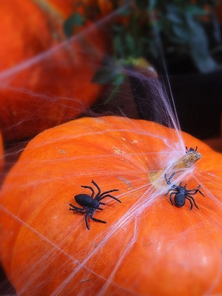 Fioletowa duża pajęczyna na Halloween + 2 pająki