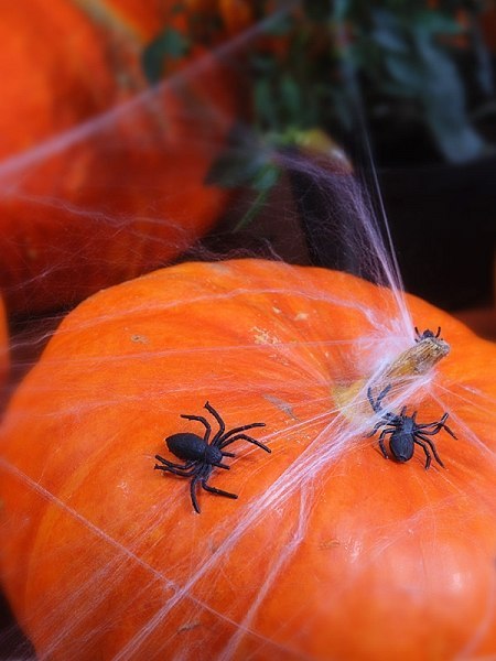 Fioletowa duża pajęczyna na Halloween + 2 pająki Fioletowa duża pajęczyna na Halloween + 2 pająki