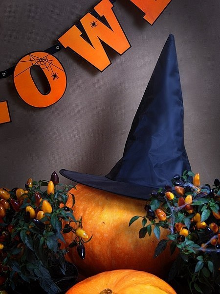 Kapelusz wiedźmy baby jagi czarownicy na Halloween Kapelusz wiedźmy baby jagi czarownicy na Halloween
