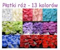 Ogromny balon strzelający na pierwszy taniec ŚLUB Ogromny balon strzelający na pierwszy taniec ŚLUB