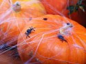 Sztuczne czarne plastikowe pająki na Halloween x10