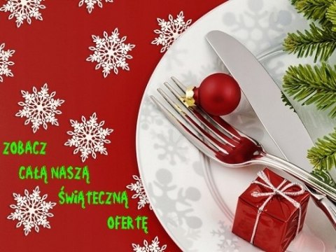 Skrzydła skrzydełka anioła aniołka Wigilia SW HIT Skrzydła skrzydełka anioła aniołka Wigilia SW HIT