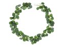 Girlanda Eukaliptus, 1.8m Girlanda Eukaliptus, 1.8m