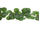 Girlanda Eukaliptus, 1.8m Girlanda Eukaliptus, 1.8m