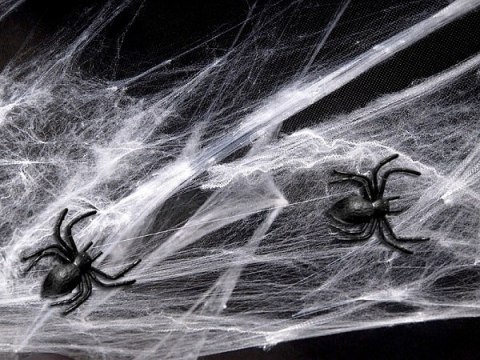 Sztuczna biała pajęczyna sieć pająki na Halloween Sztuczna biała pajęczyna sieć pająki na Halloween