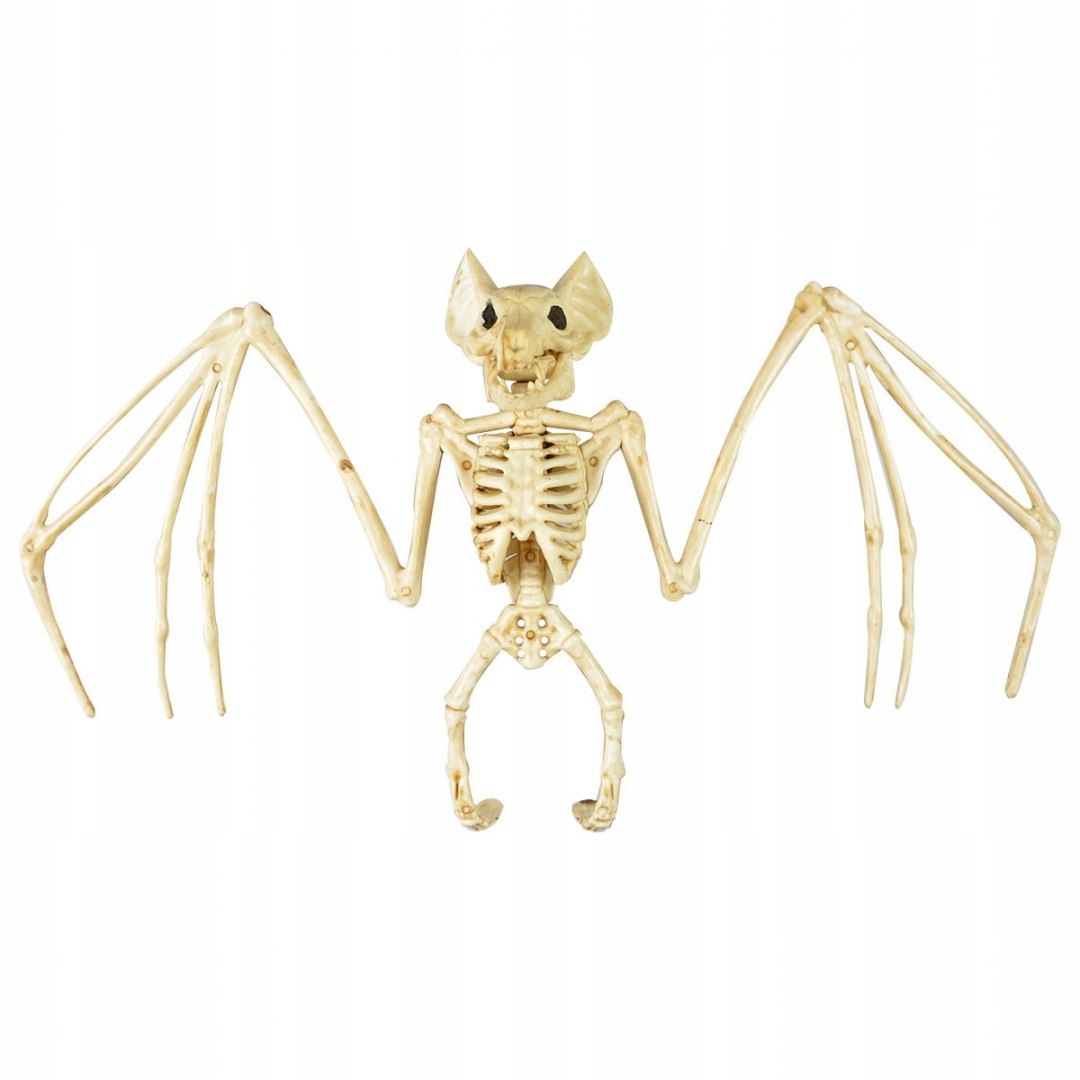 Szkielet nietoperz ozdoby dekoracje na Halloween Szkielet nietoperz ozdoby dekoracje na Halloween