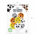 Balony zwierzątka safari tygrys zebra żyrafa panda Balony zwierzątka safari tygrys zebra żyrafa panda