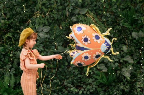 Balon foliowy Biedronka, 87x75 cm, mix Balon foliowy Biedronka, 87x75 cm, mix