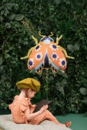 Balon foliowy Biedronka, 87x75 cm, mix Balon foliowy Biedronka, 87x75 cm, mix