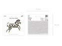 Balon foliowy Zebra, 115x85 cm, mix Balon foliowy Zebra, 115x85 cm, mix