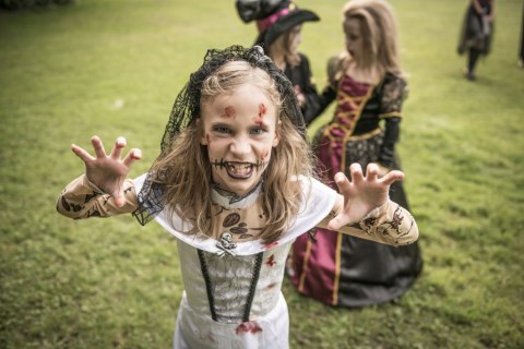 Sztuczna krew strój wampira Drakula Halloween do charakteryzacji teatru 1l Sztuczna krew strój wampira Drakula Halloween do charakteryzacji teatru 1l