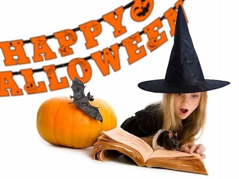 Stojak na balony girlanda dynia dynie kurtyna nietoperze napis Halloween